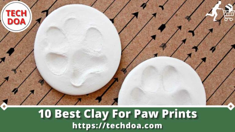 Best Clay For Paw Prints